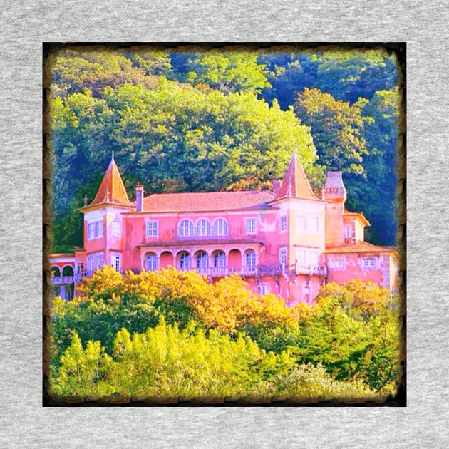 palace in Sintra by terezadelpilar